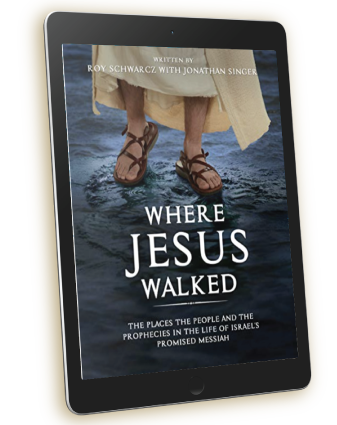 RoySchwarcz_FindingShalom_BookImg